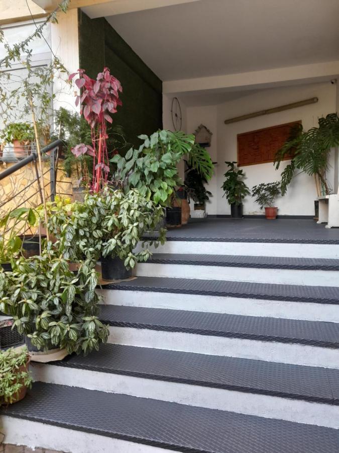 Kristi Apartments 03 تيرانا المظهر الخارجي الصورة